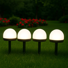 Dome Solar Garden Light Set (4 Pc)