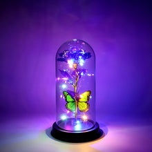 Led Preserved Rose With Colorful Butterfly In Plastic Dome (1 Pc  Mix Color)